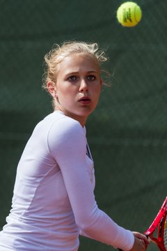 Bild 310 - TC Rot Wei� Wahlstedt II - TSV Havelse : Ergebnis: 7:2